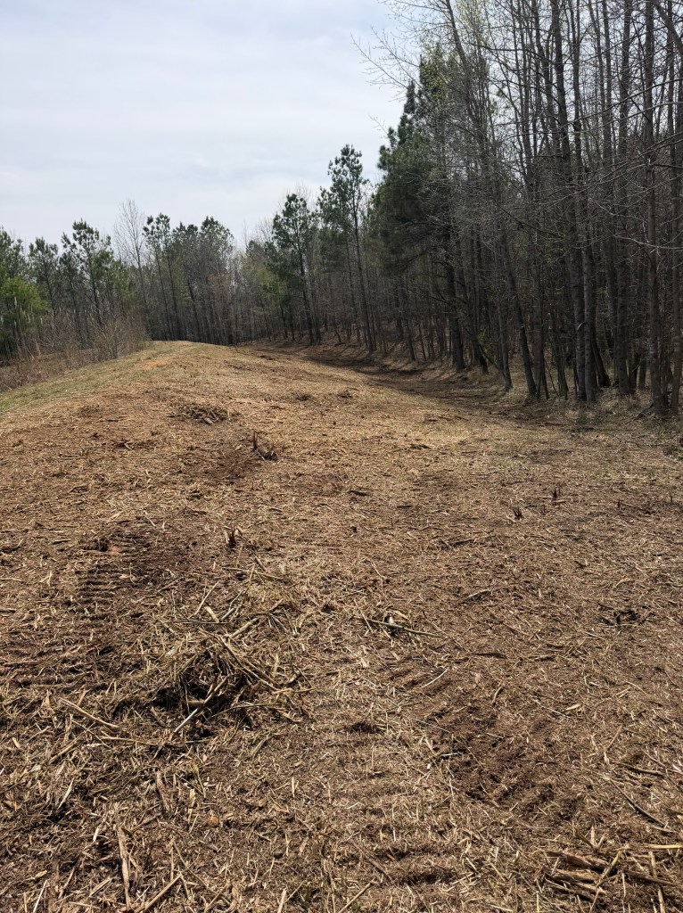 Cleared property boundary following fence line brush removal