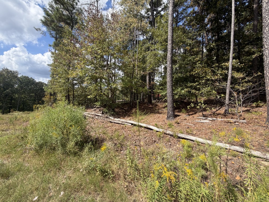 Wooded property before land clearing and site preparation.