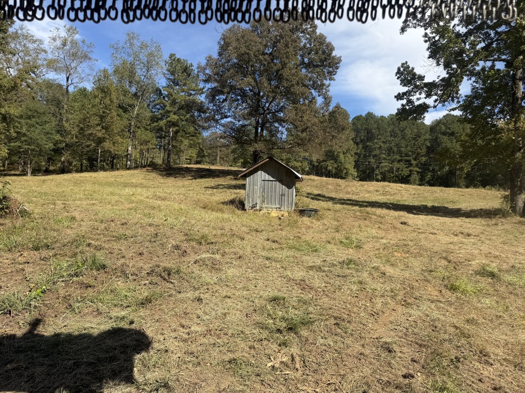 Cleared property around shed following forestry mulching and cleanup